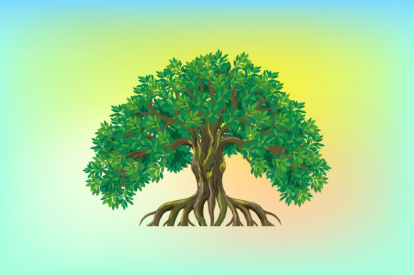 Ancient Tree Vector Illustrations Graphics