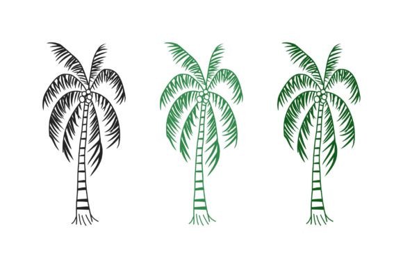 Children's Hand Drawn of Palm Tree Graphics