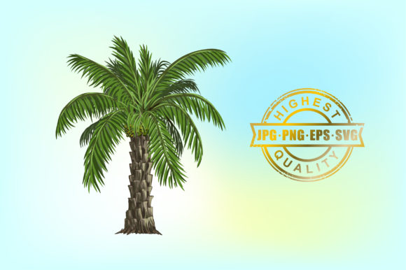 Date Palm Tree Graphics & Illustrations