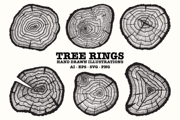 Hand Drawn Tree Rings Timber Tree Graphics