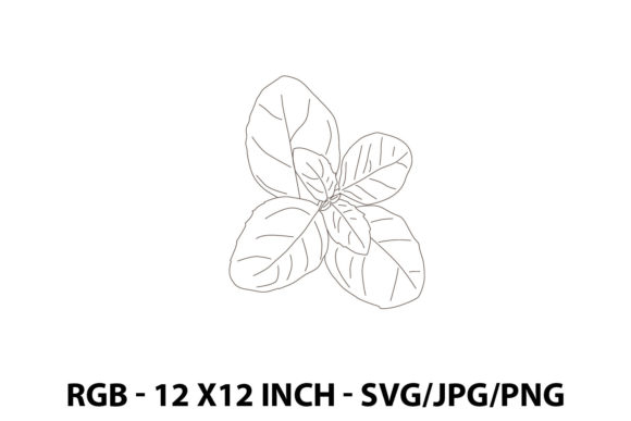 Illustration of a Basil: Graphics for Local Business Branding