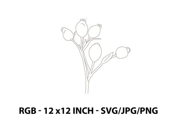 Illustration of a Rosehip