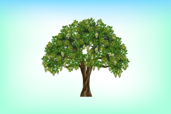 Mango Tree Vector Graphics and Illustrations