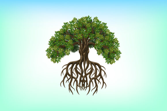 Oak Tree and Roots. Ancient Tree