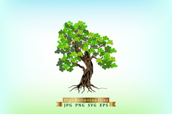 Oak Tree Logo Vector Art Graphics