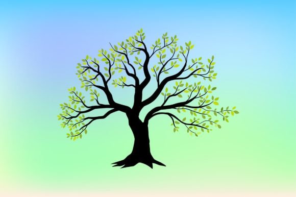 Oak Tree Vector Illustrations for Graphics and Branding