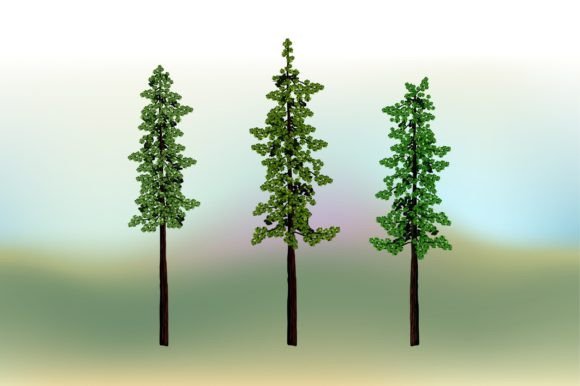 Redwood Tree Vector Illustrations
