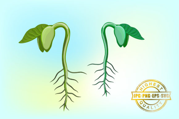 Sprouts Vector Hand Drawing Graphics