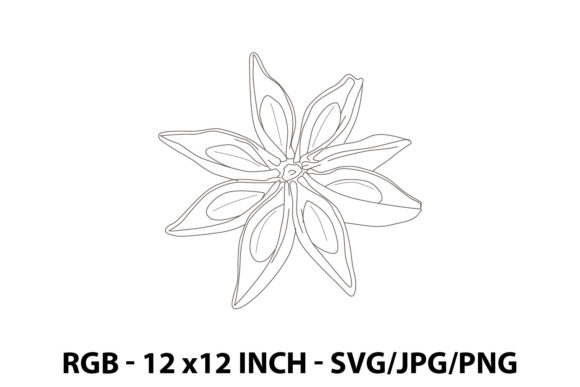 Star Anise Illustration for Graphics and Illustrations